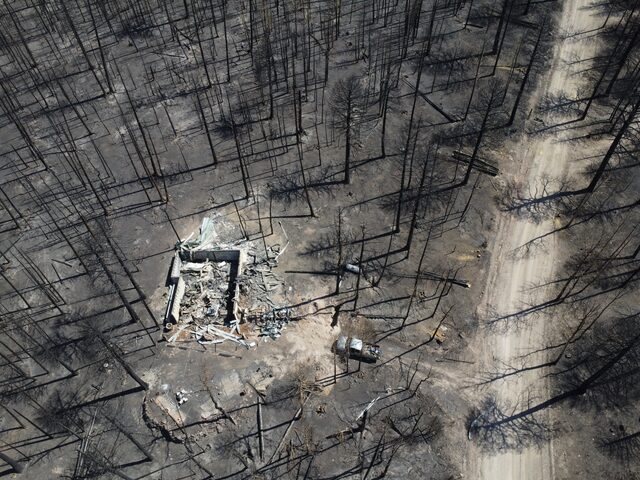 An aerial view of burned trees, long shadows, a ruined structure, and a dirt road after the Cottonwood Fire